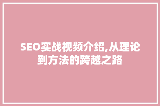 SEO实战视频介绍,从理论到方法的跨越之路