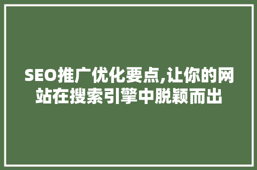 SEO推广优化要点,让你的网站在搜索引擎中脱颖而出
