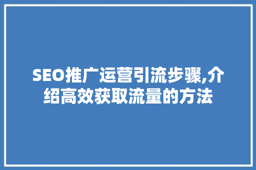 SEO推广运营引流步骤,介绍高效获取流量的方法