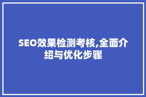 SEO效果检测考核,全面介绍与优化步骤