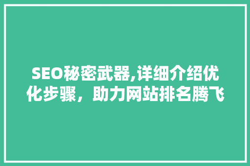 SEO秘密武器,详细介绍优化步骤，助力网站排名腾飞