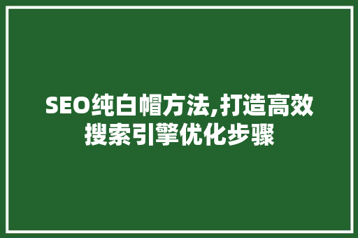 SEO纯白帽方法,打造高效搜索引擎优化步骤