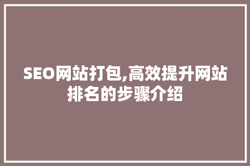 SEO网站打包,高效提升网站排名的步骤介绍