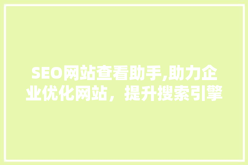 SEO网站查看助手,助力企业优化网站，提升搜索引擎排名