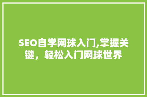 SEO自学网球入门,掌握关键，轻松入门网球世界