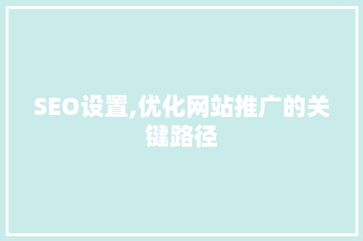 SEO设置,优化网站推广的关键路径