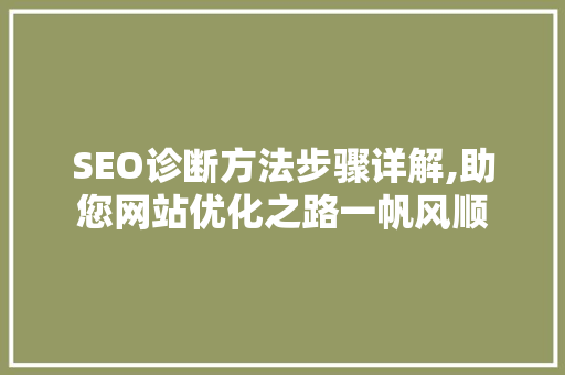 SEO诊断方法步骤详解,助您网站优化之路一帆风顺