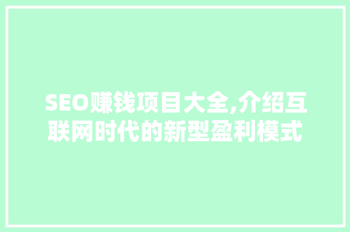 SEO赚钱项目大全,介绍互联网时代的新型盈利模式