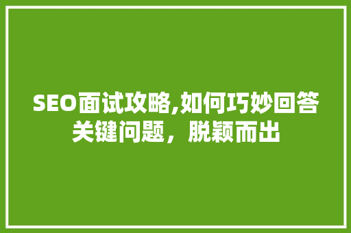 SEO面试攻略,如何巧妙回答关键问题，脱颖而出