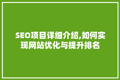 SEO项目详细介绍,如何实现网站优化与提升排名
