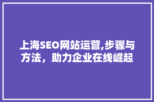 上海SEO网站运营,步骤与方法，助力企业在线崛起