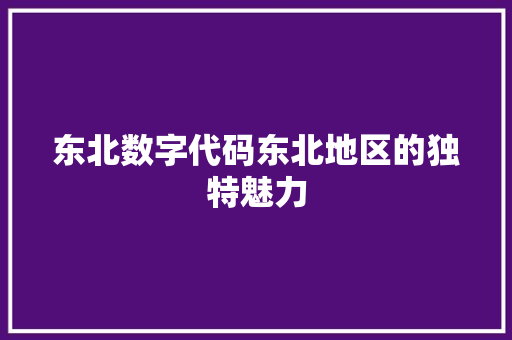 东北数字代码东北地区的独特魅力