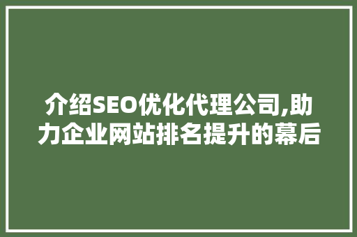 介绍SEO优化代理公司,助力企业网站排名提升的幕后力量