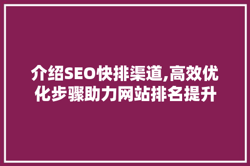 介绍SEO快排渠道,高效优化步骤助力网站排名提升