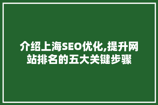 介绍上海SEO优化,提升网站排名的五大关键步骤