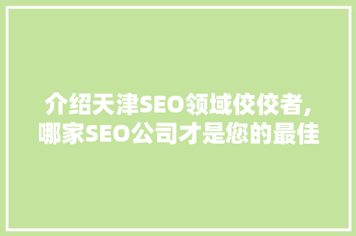 介绍天津SEO领域佼佼者,哪家SEO公司才是您的最佳选择
