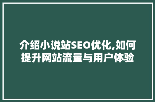 介绍小说站SEO优化,如何提升网站流量与用户体验