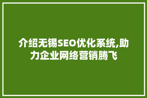 介绍无锡SEO优化系统,助力企业网络营销腾飞  第1张