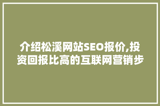 介绍松溪网站SEO报价,投资回报比高的互联网营销步骤