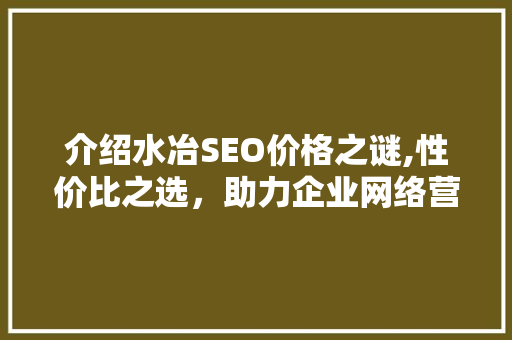 介绍水冶SEO价格之谜,性价比之选，助力企业网络营销
