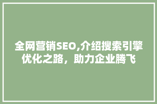 全网营销SEO,介绍搜索引擎优化之路，助力企业腾飞