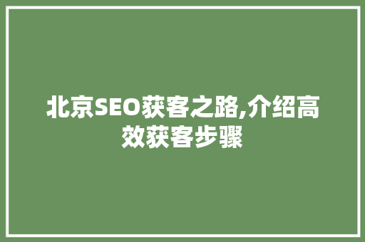 北京SEO获客之路,介绍高效获客步骤