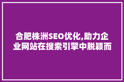 合肥株洲SEO优化,助力企业网站在搜索引擎中脱颖而出