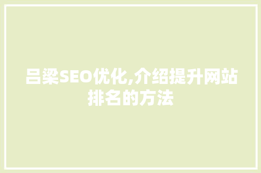 吕梁SEO优化,介绍提升网站排名的方法