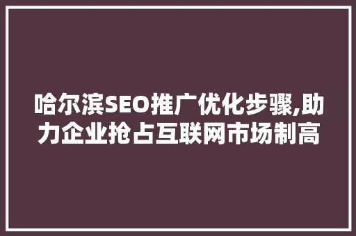 哈尔滨SEO推广优化步骤,助力企业抢占互联网市场制高点