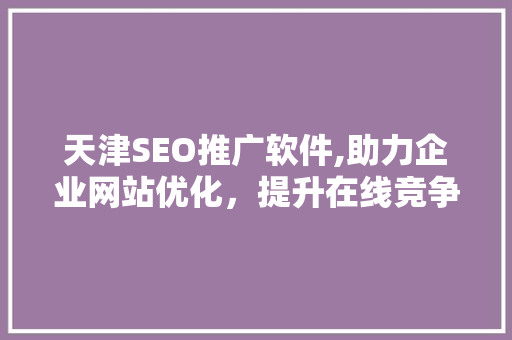 天津SEO推广软件,助力企业网站优化，提升在线竞争力