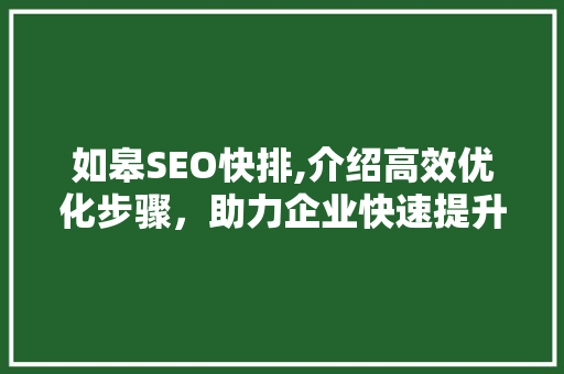 如皋SEO快排,介绍高效优化步骤，助力企业快速提升网站排名