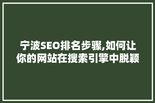 宁波SEO排名步骤,如何让你的网站在搜索引擎中脱颖而出