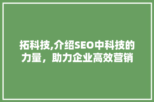拓科技,介绍SEO中科技的力量，助力企业高效营销