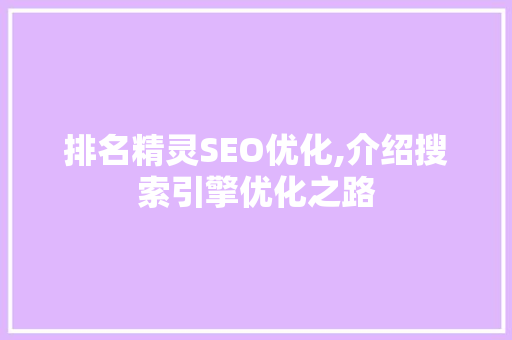 排名精灵SEO优化,介绍搜索引擎优化之路