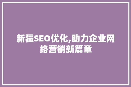 新疆SEO优化,助力企业网络营销新篇章