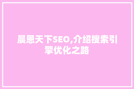晨恩天下SEO,介绍搜索引擎优化之路