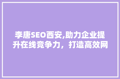 李唐SEO西安,助力企业提升在线竞争力，打造高效网络营销步骤