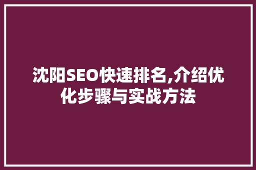 沈阳SEO快速排名,介绍优化步骤与实战方法