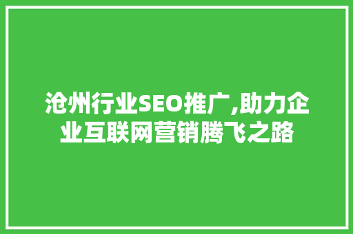 沧州行业SEO推广,助力企业互联网营销腾飞之路