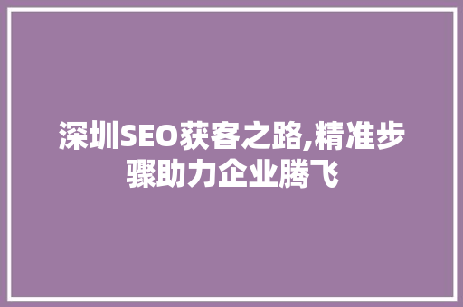 深圳SEO获客之路,精准步骤助力企业腾飞