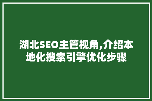 湖北SEO主管视角,介绍本地化搜索引擎优化步骤