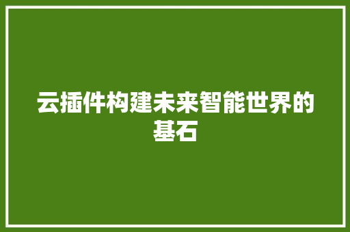 云插件构建未来智能世界的基石