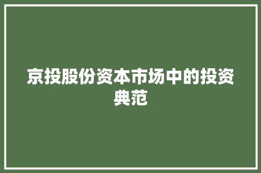 京投股份资本市场中的投资典范