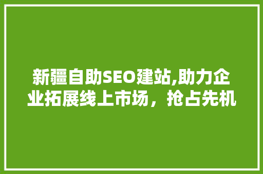 新疆自助SEO建站,助力企业拓展线上市场，抢占先机