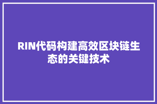 RIN代码构建高效区块链生态的关键技术