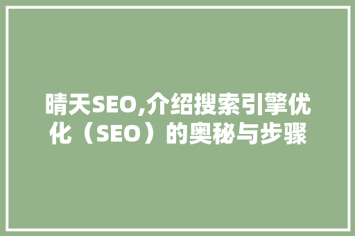 晴天SEO,介绍搜索引擎优化（SEO）的奥秘与步骤