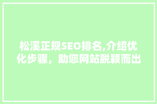 松溪正规SEO排名,介绍优化步骤，助您网站脱颖而出