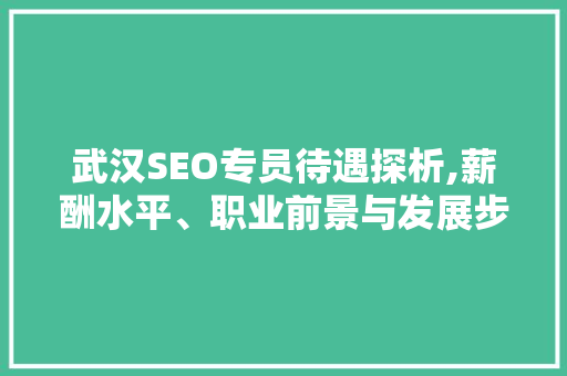 武汉SEO专员待遇探析,薪酬水平、职业前景与发展步骤