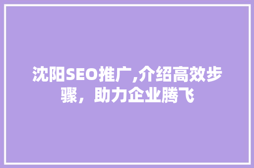 沈阳SEO推广,介绍高效步骤，助力企业腾飞  第1张