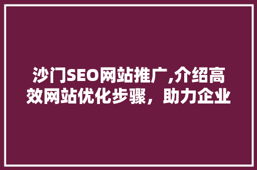 沙门SEO网站推广,介绍高效网站优化步骤，助力企业抢占市场先机